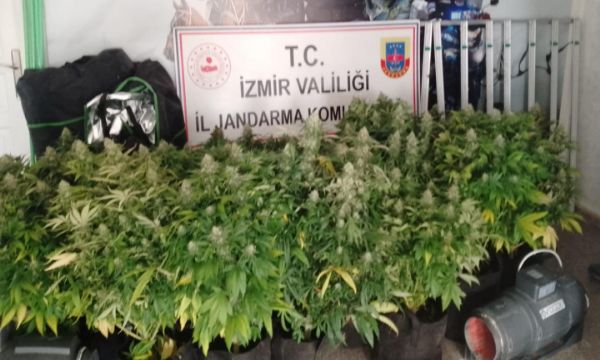 Zehir serası... Jandarma baskınıyla ortaya çıktı!